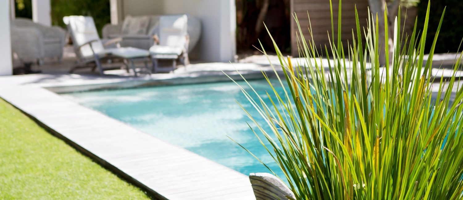 Exklusive Poolgestaltung: Detailaufnahme von grünen Ziergräsern am Beckenrand, im Hintergrund ein moderner Swimmingpool mit überdachtem Lounge-Bereich und weißen Gartenmöbeln.
